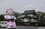 Dcim7737/DSC_5658