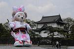 Dcim7737/DSC_5665