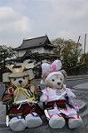 Dcim7737/DSC_5689