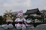 Dcim7737/DSC_5690