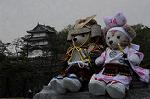Dcim7737/DSC_5696