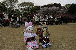 Dcim7737/DSC_5705