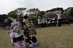 Dcim7737/DSC_5727