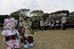 Dcim7737/DSC_5728