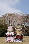 Dcim7738/DSC_5789