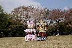 Dcim7738/DSC_5790