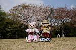 Dcim7738/DSC_5791