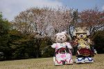 Dcim7738/DSC_5792