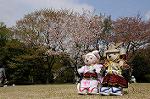 Dcim7738/DSC_5794