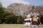 Dcim7738/DSC_5795