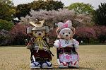 Dcim7738/DSC_5803