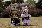 Dcim7738/DSC_5804