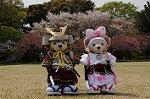 Dcim7738/DSC_5805