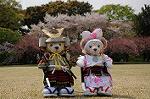 Dcim7738/DSC_5806