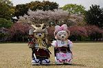 Dcim7738/DSC_5807