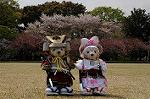 Dcim7738/DSC_5808