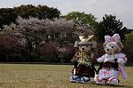Dcim7738/DSC_5809