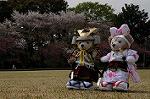 Dcim7738/DSC_5810