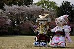 Dcim7738/DSC_5811