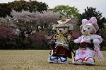 Dcim7738/DSC_5812