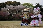 Dcim7738/DSC_5813