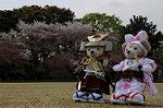 Dcim7738/DSC_5814