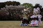 Dcim7738/DSC_5815