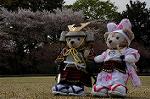 Dcim7738/DSC_5816