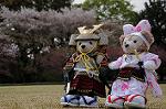 Dcim7738/DSC_5817