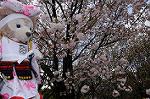 Dcim7738/DSC_5821