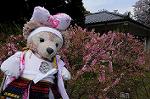 Dcim7738/DSC_5850