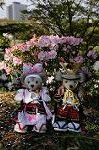 Dcim7738/DSC_5875
