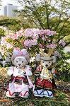 Dcim7738/DSC_5876