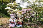 Dcim7738/DSC_5879