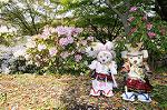 Dcim7738/DSC_5883
