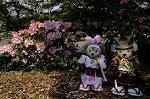 Dcim7738/DSC_5885