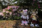 Dcim7738/DSC_5886