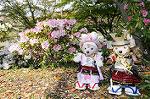 Dcim7738/DSC_5887