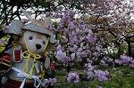 Dcim7738/DSC_5898