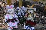 Dcim7739/DSC_5924