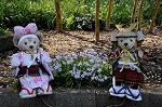 Dcim7739/DSC_5926