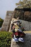 Dcim7739/DSC_5929