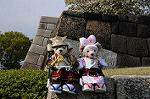 Dcim7739/DSC_5932