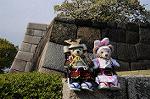 Dcim7739/DSC_5933