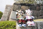 Dcim7739/DSC_5934