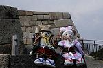 Dcim7739/DSC_5936