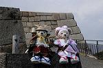 Dcim7739/DSC_5938