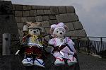 Dcim7739/DSC_5942