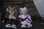 Dcim7739/DSC_5943