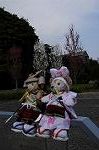 Dcim7739/DSC_5954